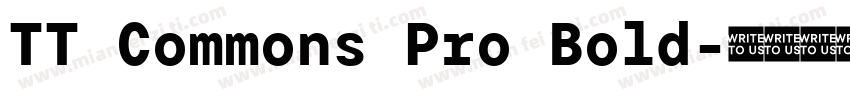 TT Commons Pro Bold字体转换